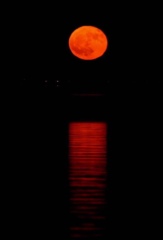 Moonrise in Hungary.jpg