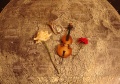 GreekMoon&ViolinLPOD.jpg